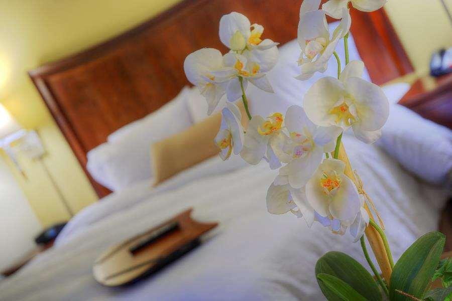 Hampton Inn Gainesville-Haymarket Rom bilde